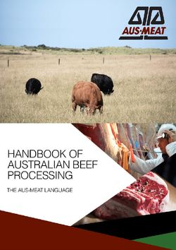 Handbook of Australian Beef Processing-AusMeat